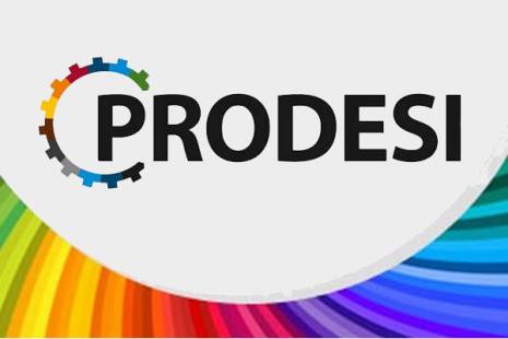 Presidente da Confederação Empresarial Angolana admite que Prodesi “falhou”