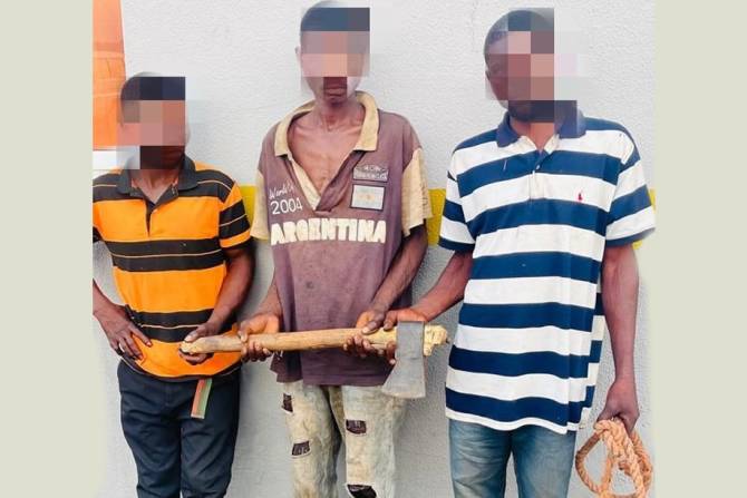 SIC detém três cidadãos da RDC por tráfico de órgãos genitais femininos