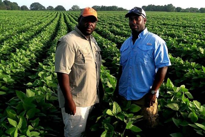 Fundação Odebrecht apoia desenvolvimento agrário sustentável em Cabinda