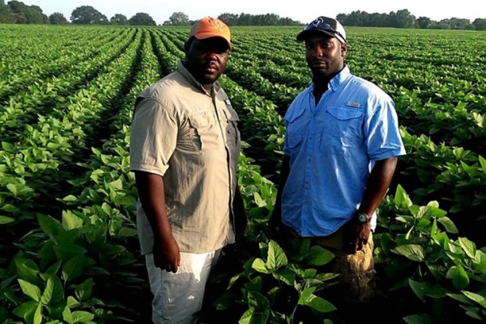 Fundação Odebrecht apoia desenvolvimento agrário sustentável em Cabinda