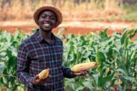 Angola registou em 2025 aumento progressivo da produção agrícola - ministro