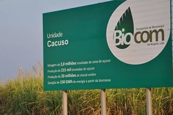 Biocom lança programa de fomento da cana-de-açúcar em Angola