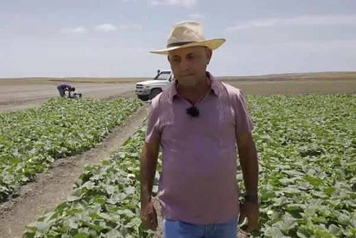 Morreu João Macedo, português e líder de um dos maiores projetos agroindustriais angolanos