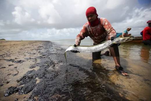 Angola prepara legislação para acautelar riscos na exploração de recursos em áreas protegidas