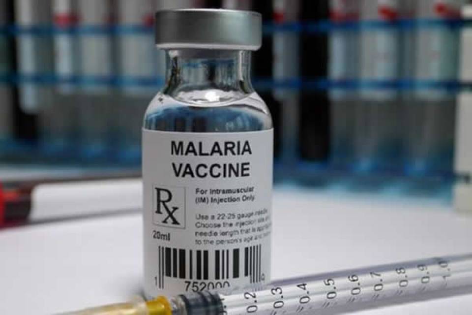 Epidemiologista defende que Angola adquira vacinas contra a malária por meios próprios