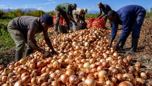 Banco Mundial pretende mobilizar US$ 1,4 bilhão para agroindústria e logística em Angola