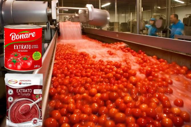 Fábrica de tomate arranca em Outubro em forma experimental