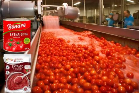 Fábrica de tomate arranca em Outubro em forma experimental