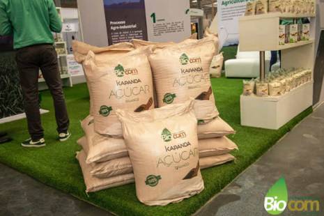 Biocom aumenta produção de açúcar e pode fornecer 80% do mercado angolano em 2022