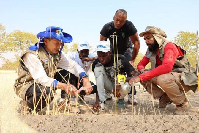 Equipa brasileira dá formação em Angola sobre produção e comercialização agrícola