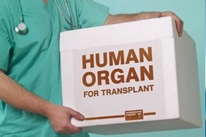 Angola prepara legislação para garantir transplantes em hospitais de todo o país