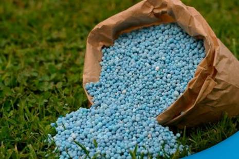 Angola vai ter fábrica de fertilizantes no valor de 1,7 milhões de euros no primeiro trimestre de 2026