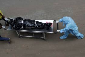 Angola regista hoje 9 mortes por covid-19 e 47 casos de infeção em 24 horas