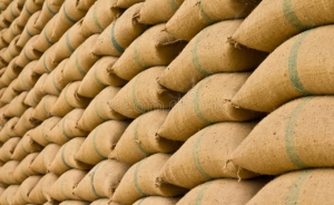 Arroz importado da Tailândia de marca Cordão Azul é adequado ao consumo humano
