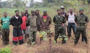 Independentistas de Cabinda reivindicam ataques às Forças Armadas Angolanas